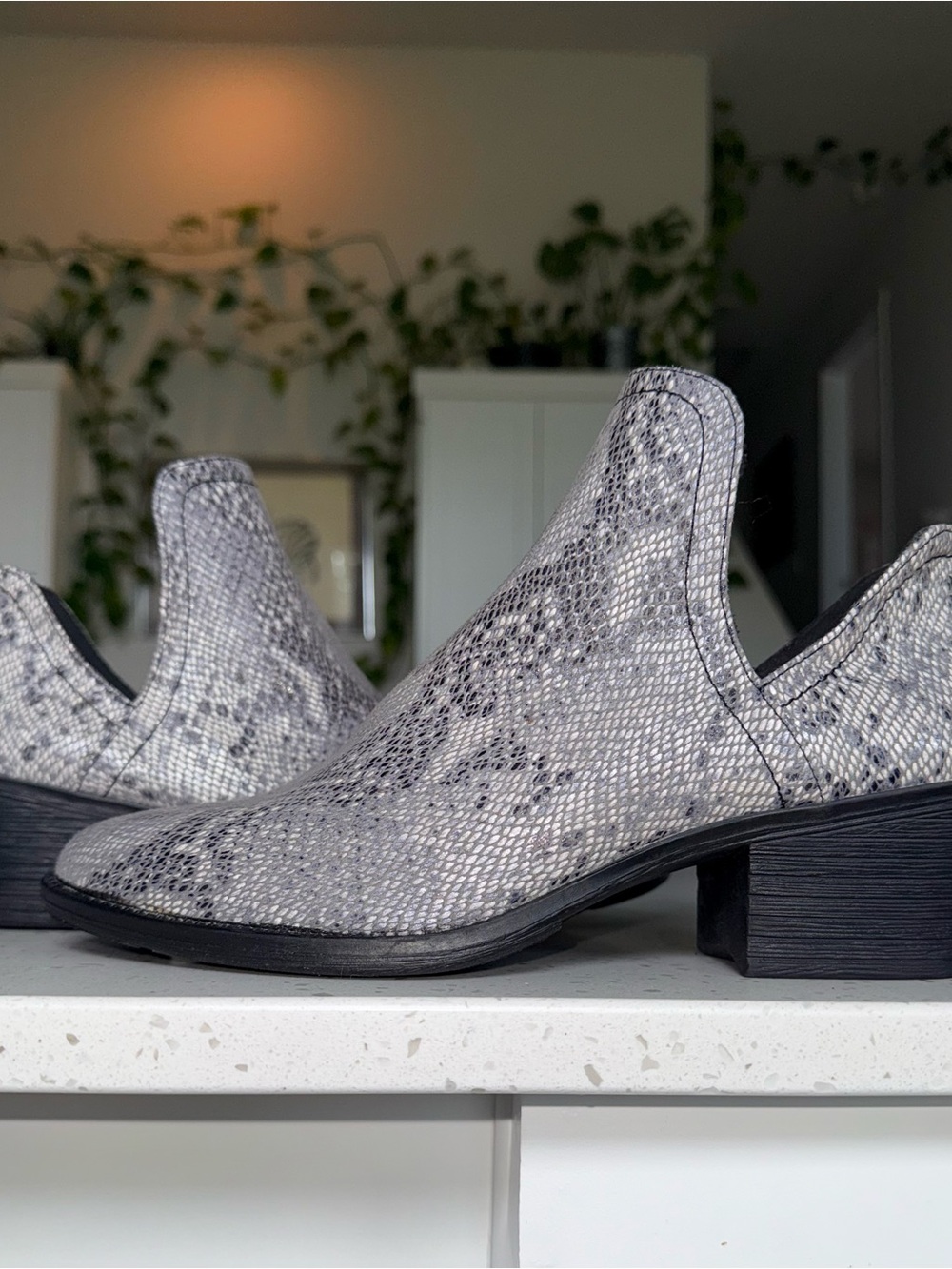 Volatile Grey Snake-Print Ankle Booties